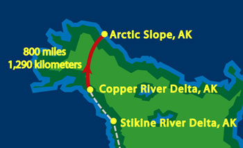 Copper River to Arctic Slope